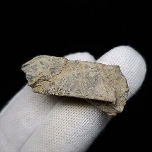 yzyeBmTEX///zeBmTEX   { AJY 34.73mm P[Xt v[g Mtg tb178