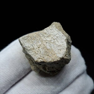 yzyeBmTEX///zeBmTEX   { AJY 24.24mm P[Xt v[g Mtg tb116