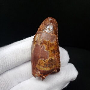 yzyJJhgTEX///zɏ JJhgTEX   { bRY 45.08mm v[g Mtg fca10