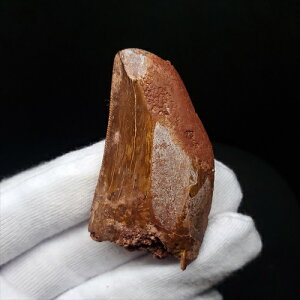 yzyJJhgTEX///zJJhgTEX   { bRY 50.07mm v[g Mtg fca14