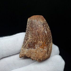 yzyJJhgTEX///zJJhgTEX   { bRY 38.49mm v[g Mtg fca17