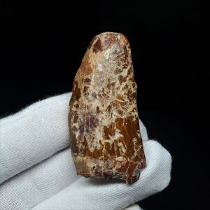 yzyJJhgTEX///zJJhgTEX   { bRY 46.81mm v[g Mtg fca18