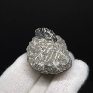 yzyOt ///zt Ot { bRY 41.77mm v[g Mtg sn33