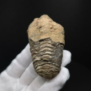 yzyOt ///zOt { tLVJl bRY 69.62mm v[g Mtg sn44