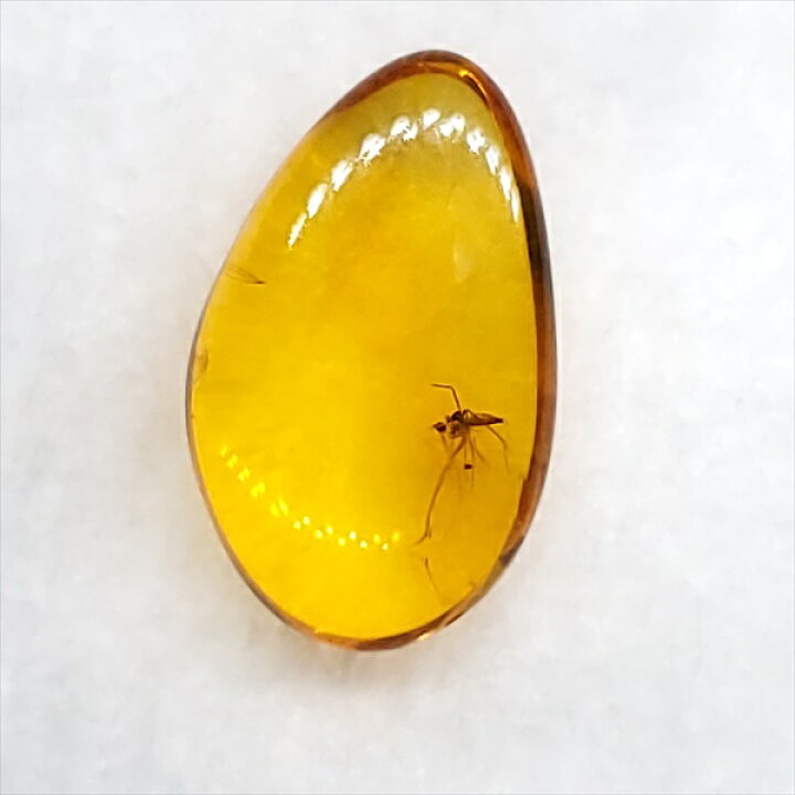 011503 セール天然琥珀双蓮貫通穴約10＊18ミリ