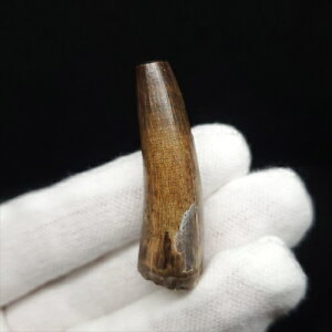 yzyXR~X///z XR~X  { WF[Y 38.94mm v[g Mtg P[Xt sc12