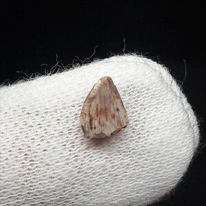 yzy|XgXNX//z |XgXNX ঒   { j[LVRY 7.06mm v[g Mtgfr66