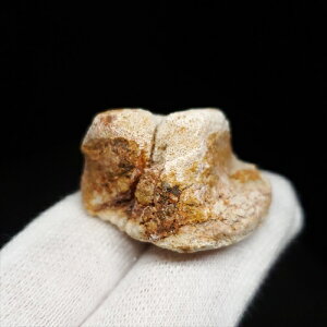 yzysiRTEX///zsiRTEX b  { SY 31.70mm v[g Mtg fr121