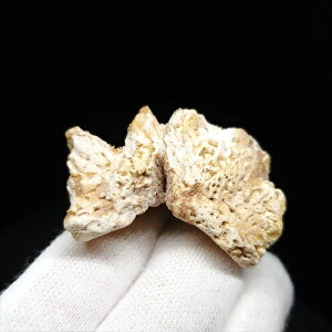 yzysiRTEX///zsiRTEX b  { SY 43.85mm v[g Mtg fr122