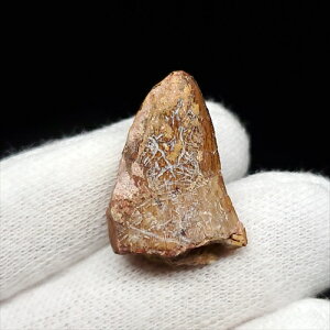 yzyeBMA///zeBMA   { EYxLX^Y 23.43mm v[g Mtg fr123