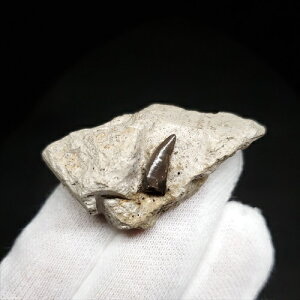 yzykeeX///zt keeX  {   tXY 45.27mm v[g Mtg fr134