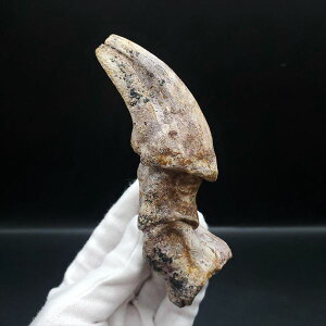 yzyeBmTEX//΁zً eBmTEX    { SrY 118.48mmv[g Mtg tb37