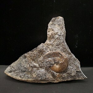 yzyAiCg/΁z t AiCg OI  { mEF[Y 168.48mm v[g Mtg fan3