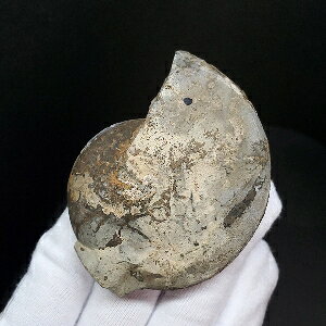 yzyAiCg/΁z AiCg OI  { mEF[Y 68.18mm v[g Mtg fan5