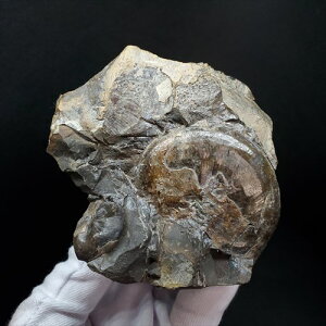 yzyAiCg/΁z t AiCg OI  { mEF[Y 70.65mm v[g Mtg fan6