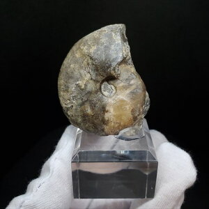 yzyAiCg/΁z AiCg OI  { mEF[Y 41.52mm yt v[g Mtg fan7