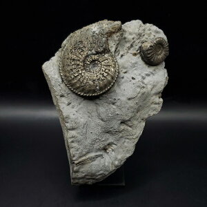 yzyAiCg//Szz  t pCCg AiCg A}ZX  { tXY 129.14mm v[g Mtg fang2