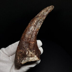 yzyXR~X///zXR~X   {   jWF[Y 135.83mm v[g Mtg fr139