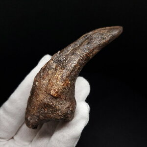 yzyAtxig//zAtxig   {   jWF[Y 92.43mm v[g Mtg fr139