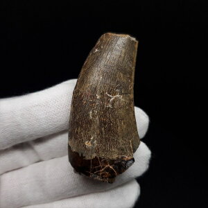 yzyAtxig///zAtxig   { WF[Y 53.98mm v[g Mtg fr142