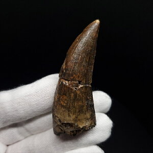 yzyAtxig///zAtxig   { WF[Y 58.23mm v[g Mtg fr144