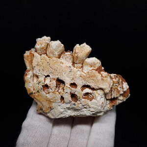 yzyvgPgvX///z vgPgvX   { SY 78.14mm v[g Mtg fr152