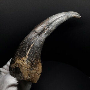 yzyXR~X///zXR~X   {   jWF[Y 154.35mm v[g Mtg fr153