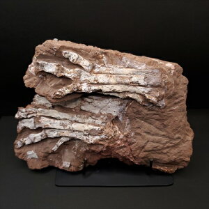 yzyIBvg///zIBvg   {   Y 208.95mm v[g Mtg fr1545