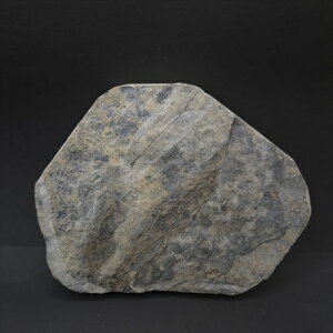 yzyO[^[///z O[^[    { tXY mm v[g Mtggrl6