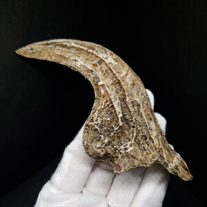 yzyATEX //΁z ATEX   vJ 114.66mm v[g Mtg arr10