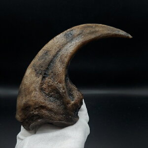 yzyATEX //΁z ATEX   vJ 176.63mm v[g Mtg arr16