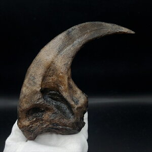 yzyATEX //΁z ATEX   vJ 171.62mm v[g Mtg arr17