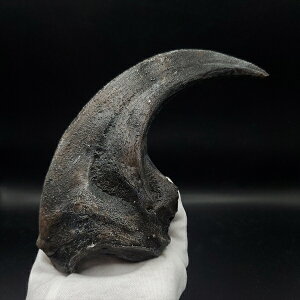 yzyATEX //΁z ATEX   vJ 177.88mm v[g Mtg arr18