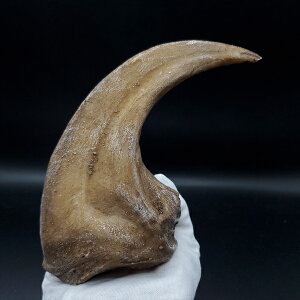 yzyATEX //΁z ATEX   vJ 176.61mm v[g Mtg arr19