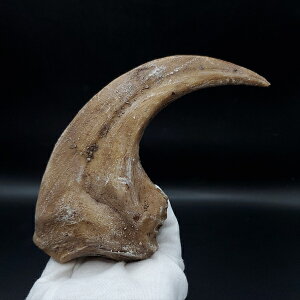 yzyATEX //΁z ATEX   vJ 174.45mm v[g Mtg arr20