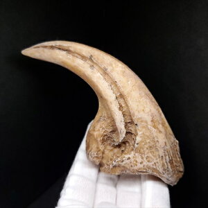 yzyATEX //΁z ATEX   vJ 115mm v[g Mtg arr3