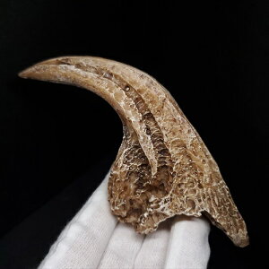 yzyATEX //΁z ATEX   vJ 115.10mm v[g Mtg arr4