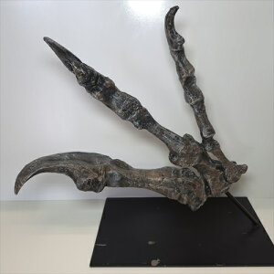 yzyATEX //΁z ATEX   vJ  380mm v[g Mtg arr22