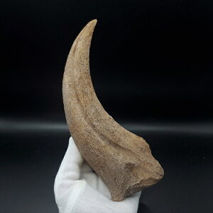 yzyXsmTEX///zXsmTEX  vJ 176.25mm v[g Mtg spr9