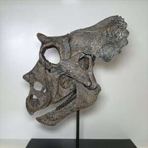 yzygPgvX //΁z gPgvX   vJ  mm v[g Mtg tcr1