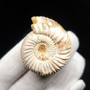 yzyAiCg/yXtBNeX/΁zAiCg yXtBNeX  { }_KXJY 33.41mm v[g Mtg anp68