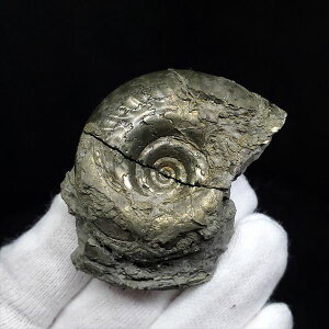 yzyAiCg//Szz  pCCg AiCg qhZX  { tXY 42.36mm v[g Mtg ang25