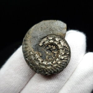 yzyAiCg//Szz  pCCg AiCg qhZX  { tXY 28.59mm v[g Mtg ang34