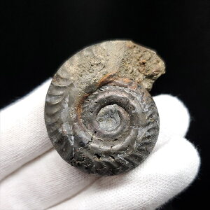 yzyAiCg//Szz  pCCg AiCg qhZX  { tXY 36.32mm v[g Mtg ang35