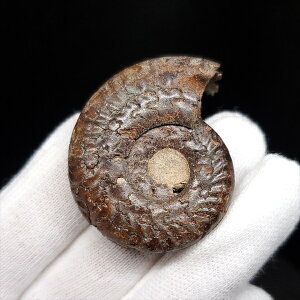 yzyAiCg//Szz  pCCg AiCg qhZX  { tXY 35.84mm v[g Mtg ang41