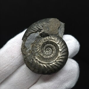 yzyAiCg//Szz  pCCg AiCg qhZX  { tXY mm v[g Mtg ang45