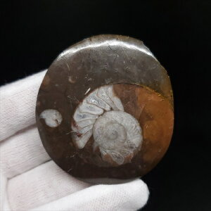 yzyAiCg/SjA^Cg/΁z Ð AiCg SjA^Cg  { bRY 55.18mm v[g Mtg ango24