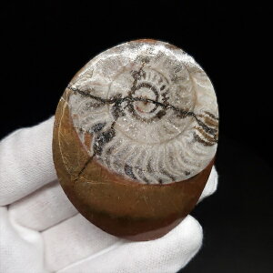 yzyAiCg/SjA^Cg/΁z Ð AiCg SjA^Cg  { bRY 60.41mm v[g Mtg ango28