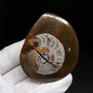 yzyAiCg/SjA^Cg/΁z Ð AiCg SjA^Cg  { bRY 61.09mm v[g Mtg ango30