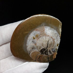 yzyAiCg/SjA^Cg/΁z Ð AiCg SjA^Cg  { bRY 60.84mm v[g Mtg ango31